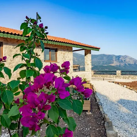 Teras Villa Adrasan